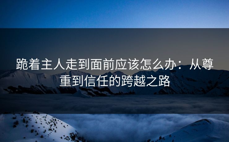 跪着主人走到面前应该怎么办：从尊重到信任的跨越之路