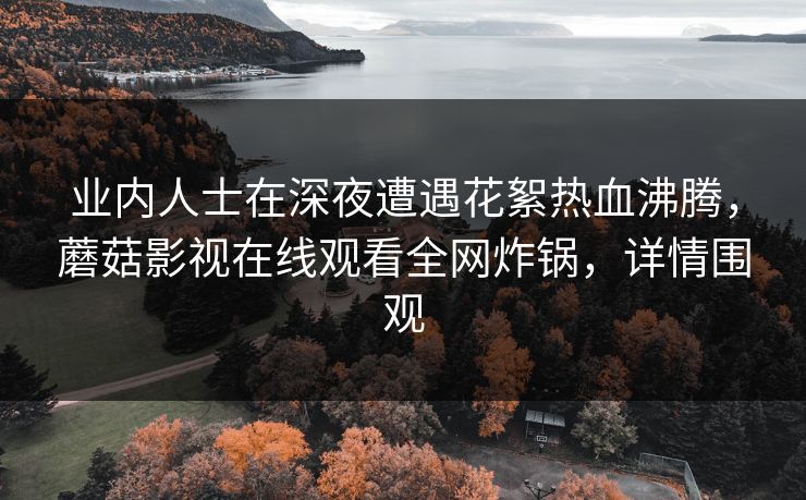 业内人士在深夜遭遇花絮热血沸腾，蘑菇影视在线观看全网炸锅，详情围观