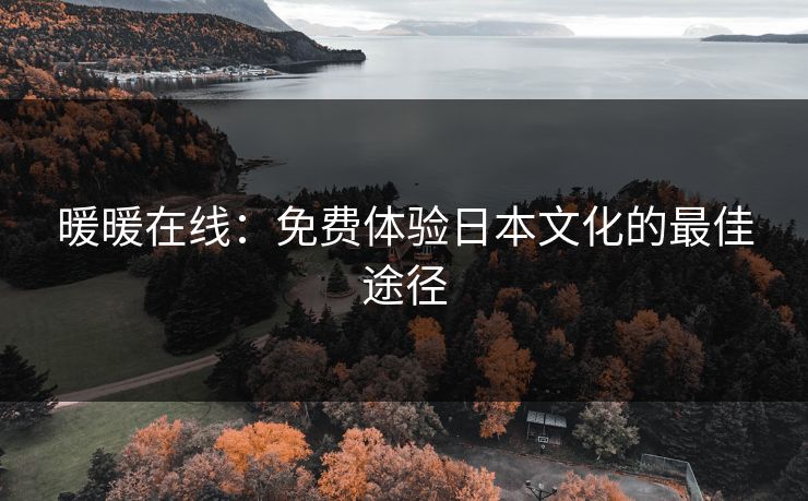 暖暖在线：免费体验日本文化的最佳途径